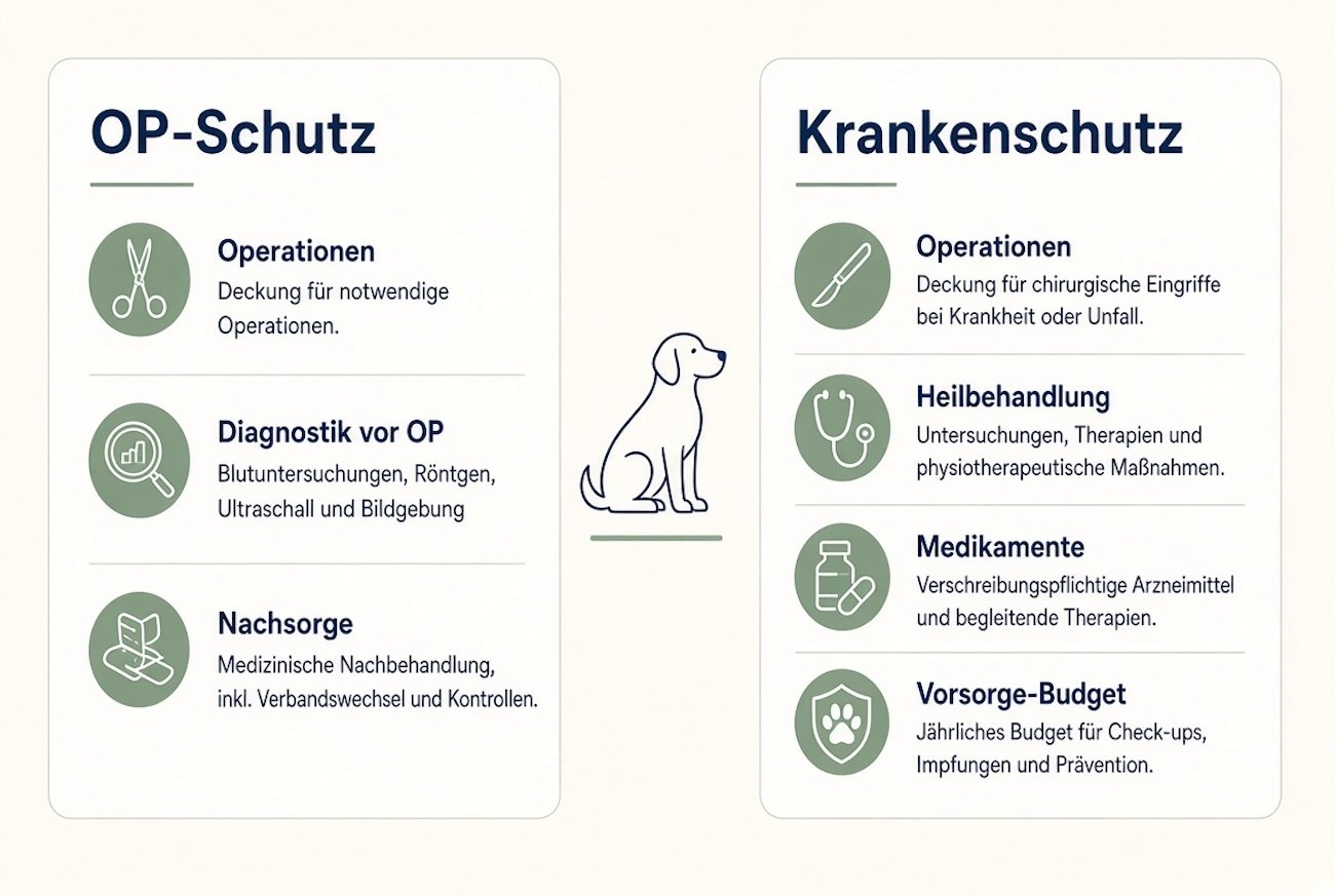 Vergleich von OP-Schutz und Krankenschutz für Hunde
